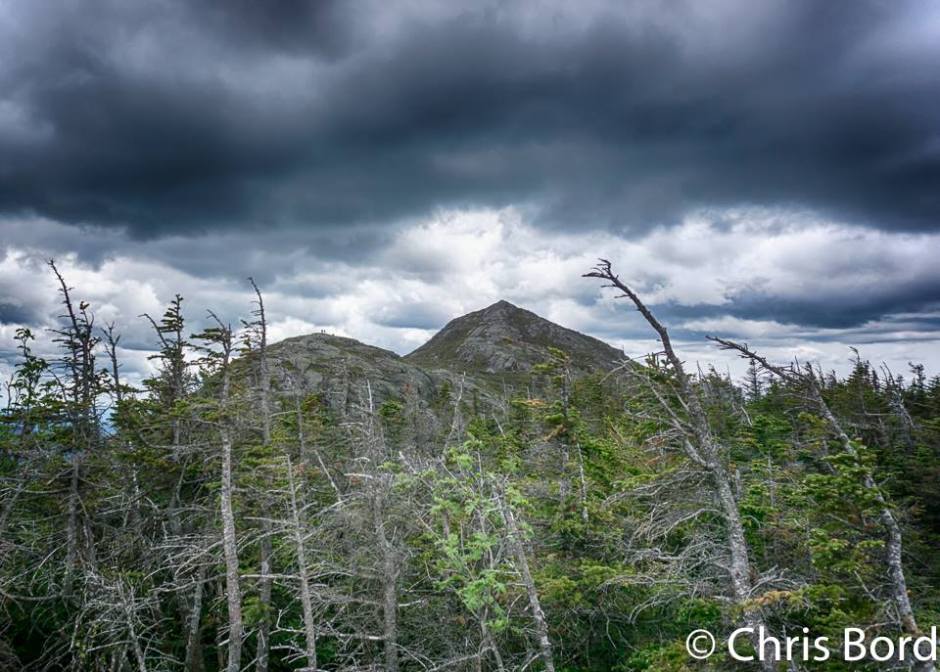 13335841_10208421556807853_4721616521658110657_n